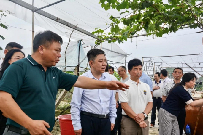 湖南省科协组织专家考察、评审湖南省科技助力乡村振兴工程试点项目.jpg