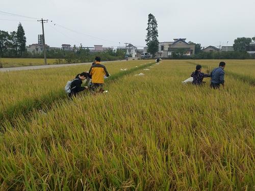 湖南农村经济形势调研报告0.jpg