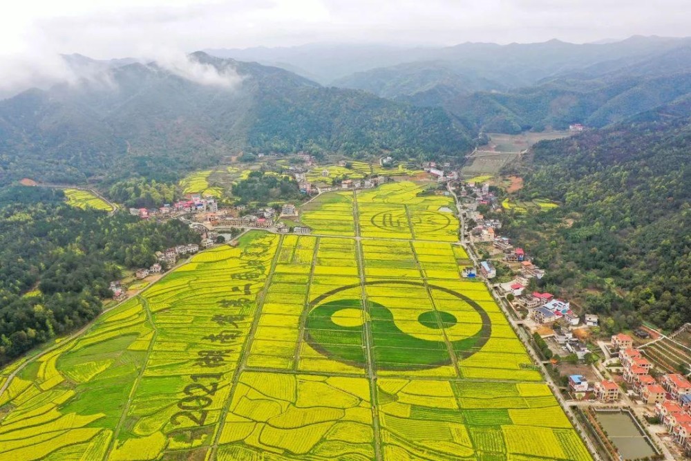 湖南油菜花节衡阳县分会场衡阳县乡村旅游节盛大开幕0.jpg